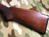 Colt 