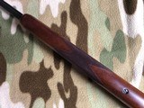 Colt 