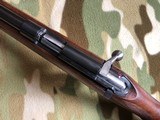 Colt 