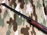 Colt 
