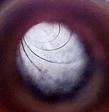 INCREDIBLE Winchester Model 94 Lever Action Rifle Born 1921 All Original 99% Finish! - 14 of 15