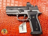 Sig Sauer P320 AXG 9MM Reserve 2 Tone X-RAY Holosun HS507K X2 - 2 of 10