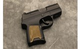 SIG SAUER ~ P290RS ~ .380 - 1 of 2