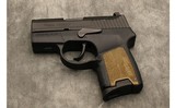 SIG SAUER ~ P290RS ~ .380 - 2 of 2