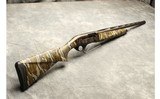Pointer ~ Phonema ~ 12 Gauge - 1 of 11