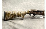 Pointer ~ Phonema ~ 12 Gauge - 3 of 11