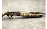 Pointer ~ Phonema ~ 12 Gauge - 4 of 11