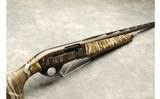Pointer ~ Phonema ~ 12 Gauge - 2 of 11