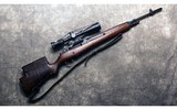 Springfield Armory ~ M1A ~ .308 Winchester - 1 of 10