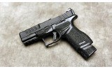 Springfield Armory ~ Echelon ~ 9mm Luger - 2 of 3