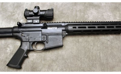 Smith & Wesson ~ M&P15-22 ~ .22 Long Rifle - Image 3 of 10