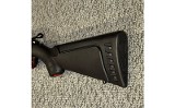 Ruger ~ American ~ 22 lr - 10 of 10