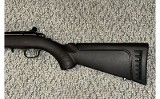 Ruger ~ American ~ .22 Long Rifle - 9 of 10