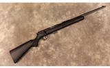 Savage Arms~Model 93~.22 WMR - 1 of 11