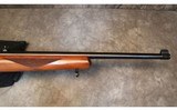 Ruger~10/22 - 4 of 10