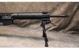 DPMS~LRT SASS - 5 of 11