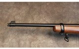 Ruger~10/22 - 8 of 8