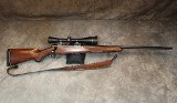 Ruger~M77 Tang Safety