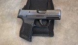 Sig Sauer~P365 - 1 of 3