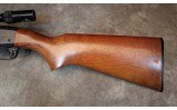 Remington~572 - 5 of 7
