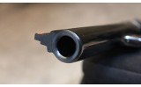 Smith & Wesson~25-5~.45 Colt Target Revolver - 7 of 8