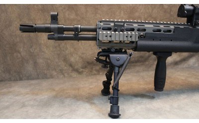 Springfield Armory~M1A~MK14 Mod 0 clone - Image 9 of 12