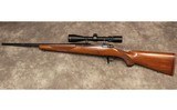 Ruger ~ M77 ~ .243 Winchester - 5 of 10