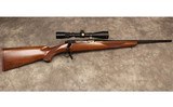 Ruger ~ M77 ~ .243 Winchester - 1 of 10