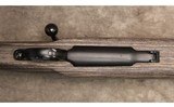 Ruger ~ M77 ~ .243 Winchester - 12 of 13
