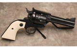 Ruger ~ New Model Blackhawk ~ .45 Colt