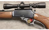 Marlin ~1895 ~ .45-70 Govt - 8 of 11