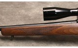 Ruger ~ 77/17 ~ .17HMR - 9 of 10