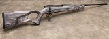Weatherby ~ Vanguard ~ .300 Winchester Magnum