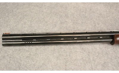 Browning ~ XS ~ 12GA - Image 8 of 9