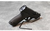 Smith & Wesson ~ M&P 9 Shield Plus ~ 9mm - 3 of 3