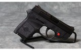 Smith and Wesson ~ Bodyguard ~ .380acp - 1 of 3