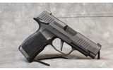 SIG SAUER ~ P365 XL ~ 9MM luger - 1 of 6