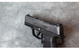 SIG Sauer ~ P365X ~ 9MM - 2 of 4
