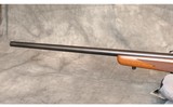 Ruger ~ M77/17 ~ 17HMR - 4 of 10