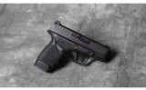 Springfield Armory ~ Hellcat ~ 9MM - 3 of 4