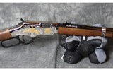 Henry ~ H004SAT ~ 22 Long Rifle - 7 of 10