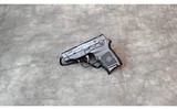 Smith & Wesson ~ Bodyguard ~ 380 Auto