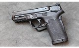 Smith and Wesson ~ M&P Shield M2.0 ~ .380 - 1 of 1