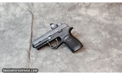 Sig Sauer ~ P320 ~ 9mm