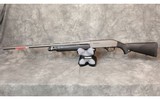 Winchester ~ Model SXP ~ 12 Gauge