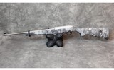 Ruger ~ 10/22 ~ .22LR - 1 of 12