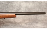 CZ USA ~ Model 452-2E American ~ .17 HMR - 6 of 12