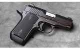 Kimber ~ Micro 9 ~ 9mm - 3 of 5