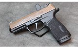 Sig Sauer ~ P365X ~ 9mm - 2 of 5