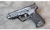 Smith and Wesson ~ M&P ~ 10mm